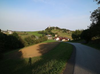 Tocht Te voet St. Margarethen an der Raab - Wanderweg 2 - Photo