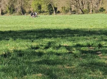 Excursión A pie Anthisnes - Autour de Hestreux et Limont - Photo