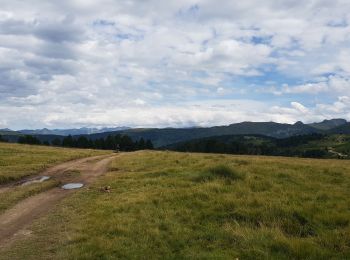 Trail Walking Aston - Plateau de Beille ory de Toudous - Photo