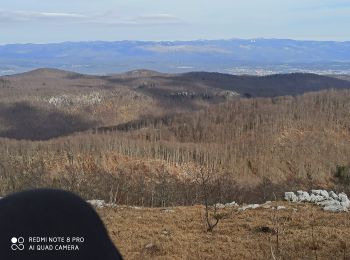 Tour Zu Fuß  - 401 - Photo