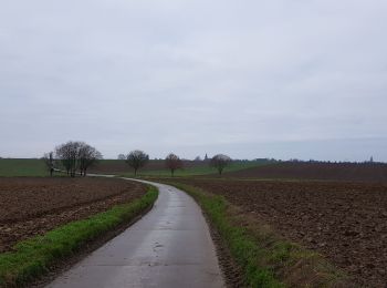 Randonnée Marche Liège - Rocourt > Liers - Photo