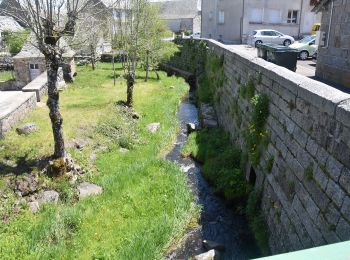 Tocht Te voet Nasbinals - 9 La cascade du Déroc - Photo