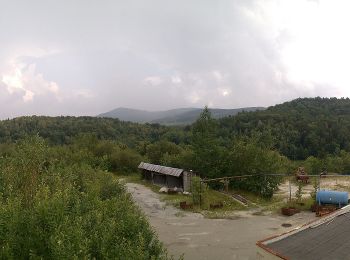 Excursión A pie Vápenná - Krajem Rychlebských hor - Photo