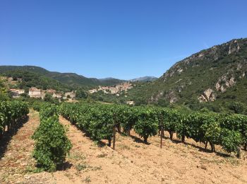 Excursión Senderismo Vieussan - Tour de l’Ayrolle au départ de Vieussan. - Photo