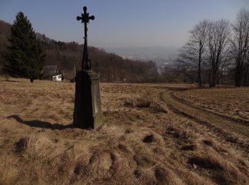 Percorso A piedi Světlá pod Ještědem - NS Ještědské vápence - Photo