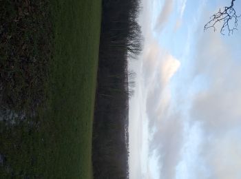 Tocht Stappen Serre-les-Sapins - serre les sapins la ménère - Photo