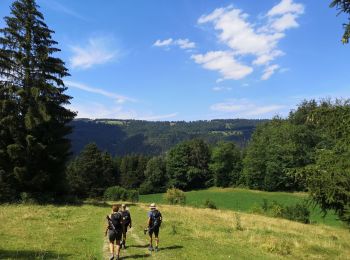 Tour Wandern Münster - Moutier  - Photo