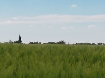 Randonnée Marche Condé-en-Normandie - Condé sur Noireau - Photo