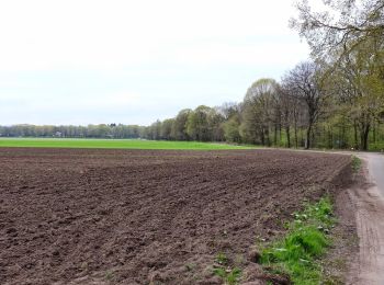 Tour Zu Fuß Ede - NS-wandeltocht Belmonte - Photo