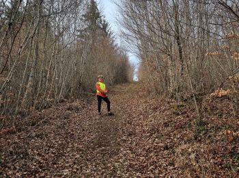 Excursión Senderismo Vouthon-Haut - reco VTT Chemins d'Isabelle - Photo