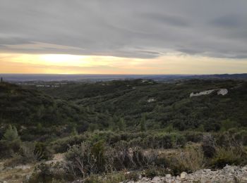 Excursión Bici eléctrica Eyguières - vigie d'Aureille - Photo