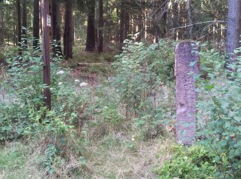 Randonnée A pied Wald-Michelbach - Rundwanderweg Beerfelden Olfener Steinbruch 4: Grenz-Weg - Photo