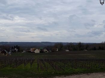 Randonnée Marche Trigny - trigny - Photo