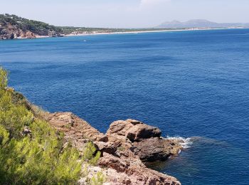 Trail Walking Begur - Sa Riera 220722 - Photo