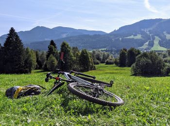 Excursión A pie Oy-Mittelberg - Oy-Mittelberg - lokale beschilderte Wanderwege - Photo