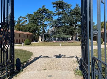 Randonnée Marche Béruges - Beruges  - Photo