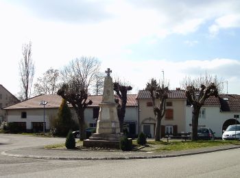 Randonnée A pied Mazirot - Sentier des Trois Fontaines - Photo