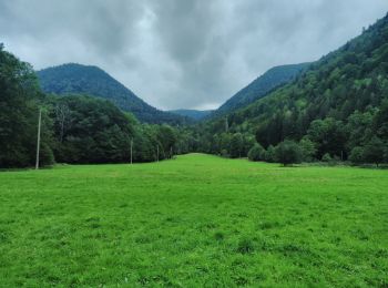 Randonnée Marche Wildenstein - TREK ALSACIEN (boucle de Wildenstein) - Photo