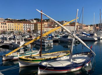 Tocht Stappen Port-Vendres - Port Vendres cap bear  - Photo