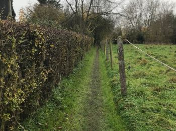 Excursión Senderismo Hannut - Marche de la fédération à Hannut - Photo
