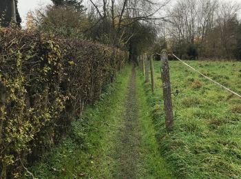 Excursión Senderismo Hannut - Marche de la fédération à Hannut   - Photo