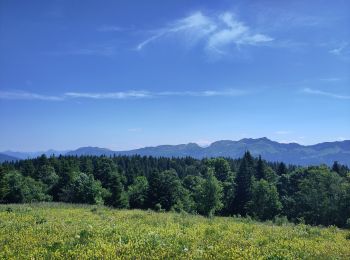 Tocht Stappen Corrençon-en-Vercors - Corrençon/ plateau château julien/valchevriere/bois Barbu  - Photo