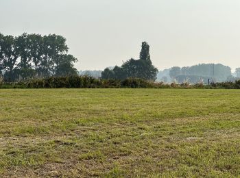 Percorso Marcia Herne - Herfelingen 16 km - Photo