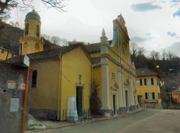 Excursión A pie Ceranesi - San Carlo di Cese - Madonna della Guardia - Photo