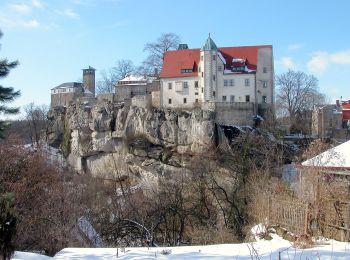 Excursión A pie Hohnstein - Lehrpfad Hohnstein - Photo