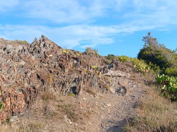 Tocht Stappen Port-Vendres - les batteries . collioure . fort sant elme . port vendres . cap gros - Photo