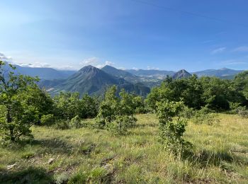 Randonnée Marche Théus - J1 2023 - Theus le Mont Colombis - Photo