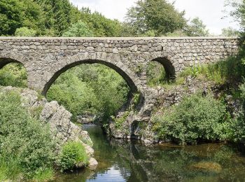 Excursión Senderismo Saint-Andéol-de-Fourchades - Boucle de la ferme de Bourdalier à Sagnes-et-Gourdoulet - Photo