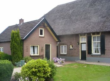 Randonnée A pied Apeldoorn - Kopermolenpad - Photo