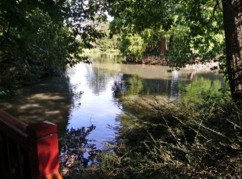 Trail Walking Tours - Tours - Loire rive sud vers est - 11.5km - 2016 04 03 - Photo