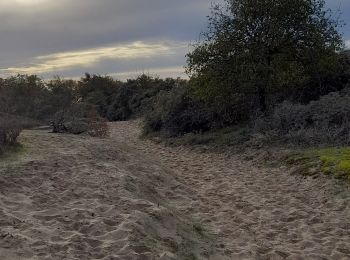Percorso Marcia Camiers - Baie de Canches et retour par la mer - Photo
