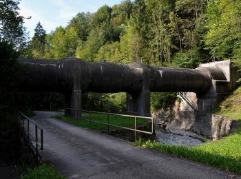 Tour Zu Fuß Galgenen - Staldenhöhe - Sonne (Vorderthal) - Photo