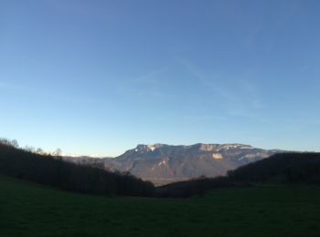 Tour Wandern Beaucroissant - col de proménie 2019 - Photo