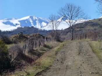 Tocht Stappen Saint-Diéry - saint diery - Photo