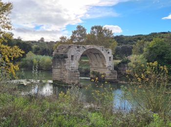 Randonnée Marche Aubais - moulin-carriere-gallargues - Photo