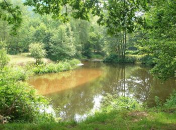 Trail On foot Lembach - Anneau rouge - Photo