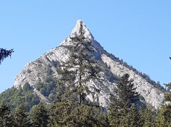 Excursión Senderismo Bellecombe-en-Bauges - montagne du charbon : montée par la piste Reposoir. col de bornette . refuge de la combe / retour même itinéraire sauf par les champs et bois depuis bornette  - Photo