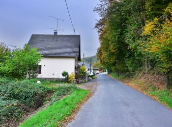 Randonnée A pied Eitorf - Wildwiesenweg (Erlebnisweg Sieg Nr. 9) - Photo