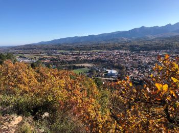 Tour Wandern Prades - 20201129 3 heures depuis Prades - Photo