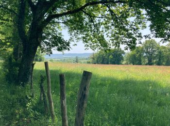 Randonnée Marche Le Cercueil - Le Cercueil  - Photo