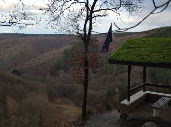 Trail Mountain bike Trooz - Par la Charmille - Photo