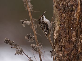 Trail Walking Ottignies-Louvain-la-Neuve - Ottignies - Circuit Natura 2000, des sites qui valent le détour - Bw04 - Photo
