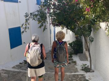 Trail Walking - Katapola>> barrage >>plage >>Minoa>>Katapola - Photo