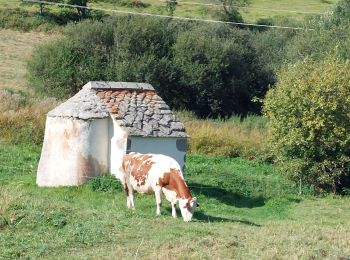 Randonnée Vélo de route Le Vernet-Sainte-Marguerite - ontain  - Photo