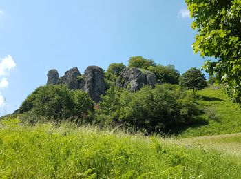 Randonnée Marche Mandailles-Saint-Julien - Les Roches Folles de Mandailles - Photo