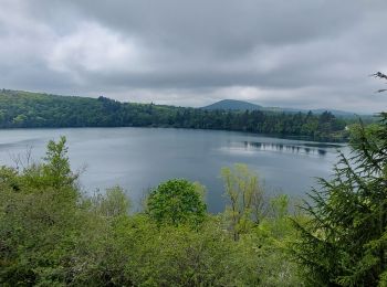 Tour Wandern Charbonnières-les-Vieilles - gour de Tazenat - Photo